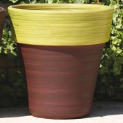 poterie eucalyptus - terre d-amazonie